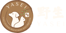 野生YASEI Logo White